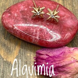 Daintygold northern star studs statement earrings